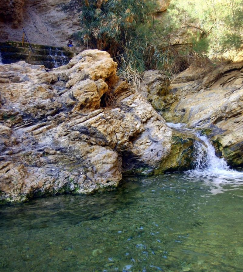 קפיצה לנווה מדבר: עין בוקק
